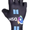 2021 Team DSM Gloves -Cycling Clothing Store 2021 dsm team glove front 31333.1613999356