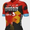 ALE 2023 Bahrain Victorious Full Zipper Jersey -Cycling Clothing Store 2023 Bahrain Victorious Jersey 87079.1680748525