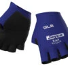 ALE 2023 Jayco Gloves