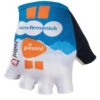 Nalini 2024 DSM Firmenich PostNL Gloves -Cycling Clothing Store 2024 DSM Firmenich PostNL Gloves 87024.1711905297