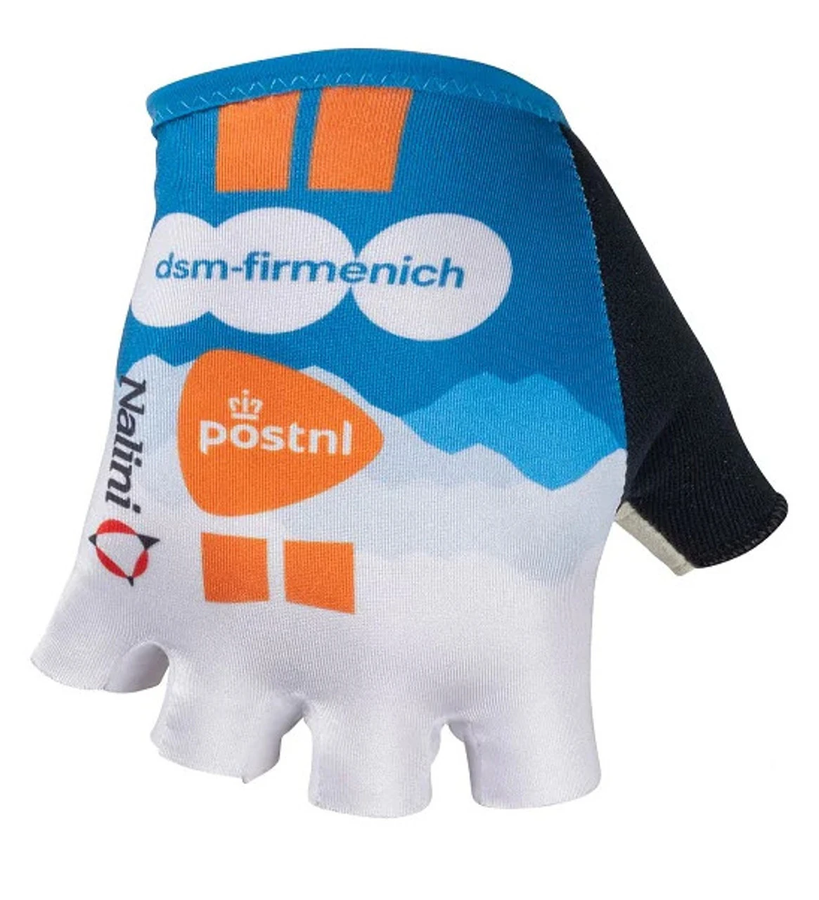 Nalini 2024 DSM Firmenich PostNL Gloves