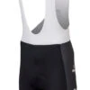 AGU 2024 Visma Lease A Bike Bib Shorts 1 AGU 2024 Visma Lease A Bike Bib Shorts -Cycling Clothing Store 2024 Visma Lease A Bike Bib Shorts Side 80869.1710631375