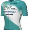 2024 VF Group Bardiani CSF Jersey -Cycling Clothing Store 2024 VF Group Bardiani CSF Jersey 39506.1714687836