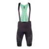 Nalini New Ergo Summer Light Green Black Bib Shorts