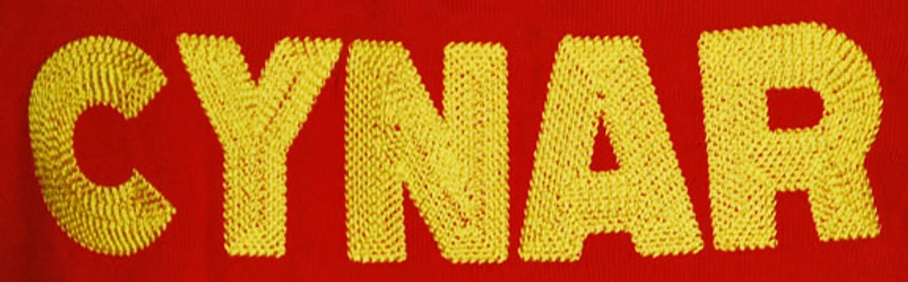 Cynar Wool Retro Jersey 7 Cynar Wool Retro Jersey - Image 5