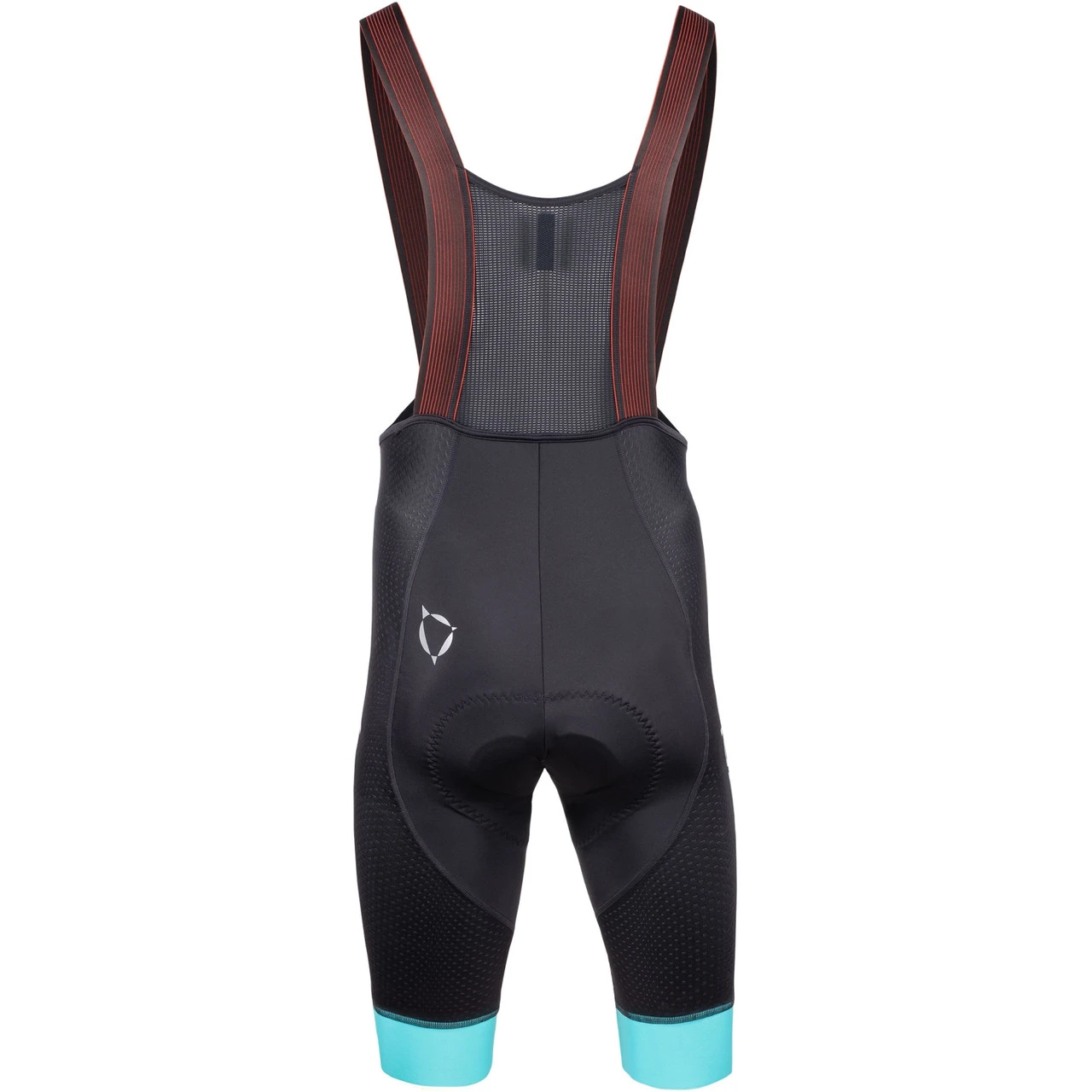 Nalini Color Light Blue Bib Shorts 4 Nalini Color Light Blue Bib Shorts - Image 2